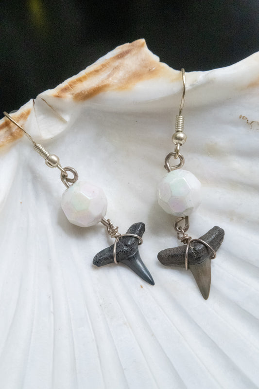 The Disco Diver Shark Tooth Earring Collection