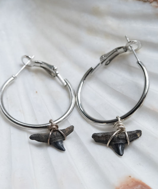 The Marina Grand Shark Tooth Hoop Earring Collection