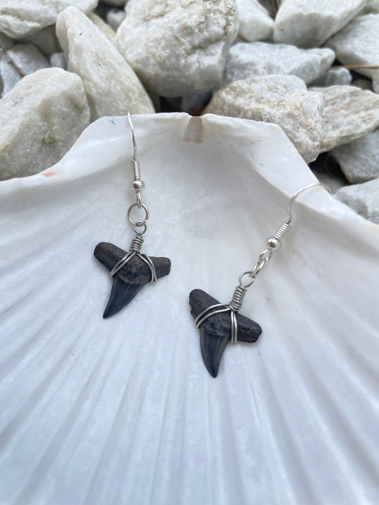 The Darling Shark Tooth Earring Collection