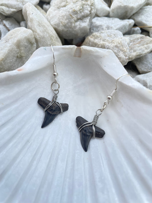 The Darling Shark Tooth Earring Collection