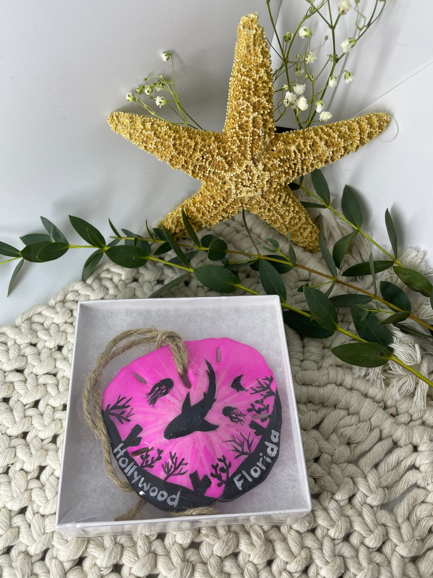 Pink Shark Eclipse | Hollywood Florida | Painted Sand dollar Ornament