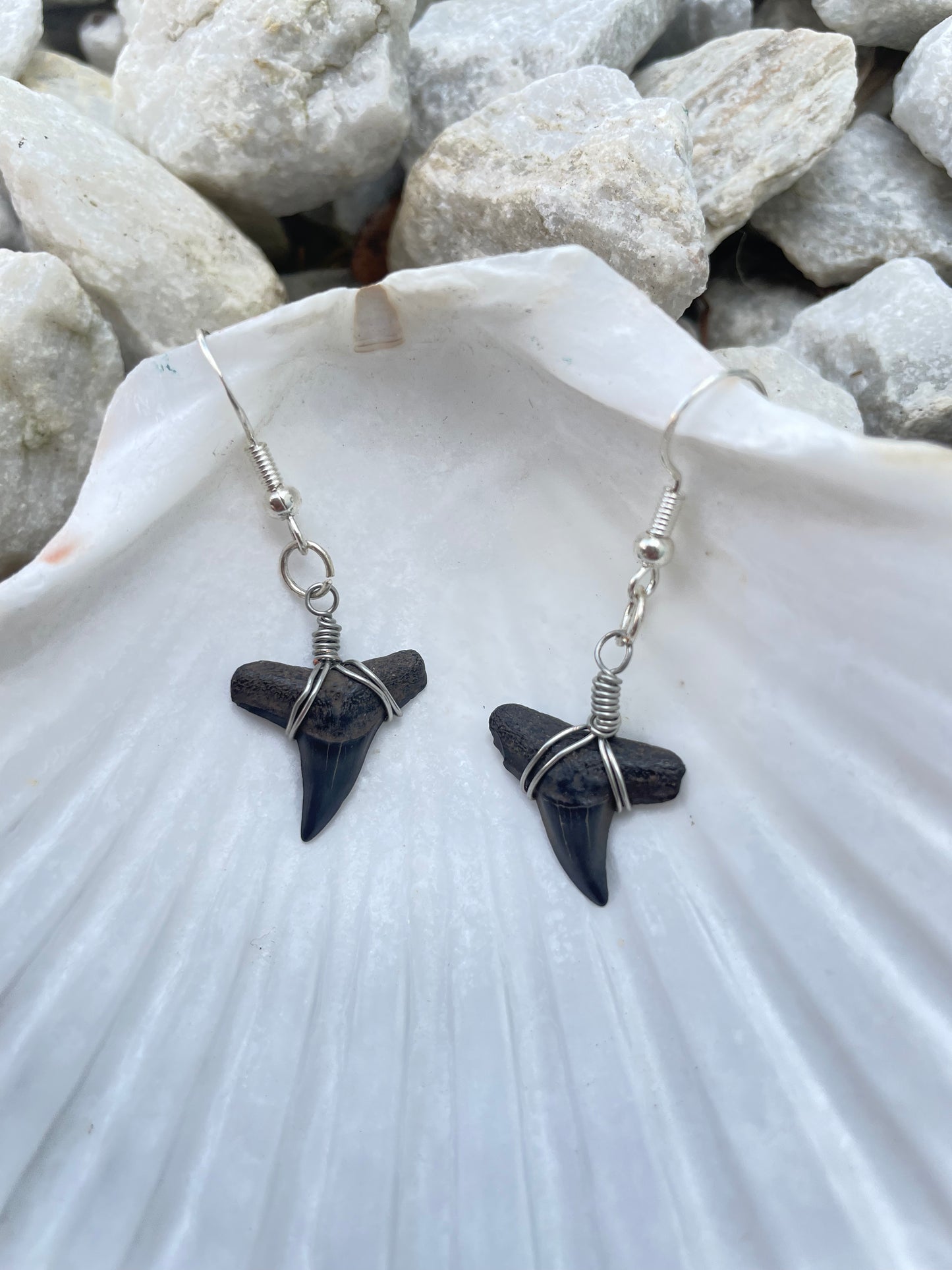 The Darling Shark Tooth Earring Collection