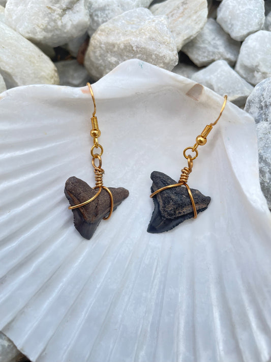 Silky Shark Tooth Earrings