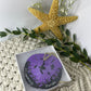 Purple Turtle Eclipse | Ft. Lauderdale Florida | Painted Sand dollar Ornament