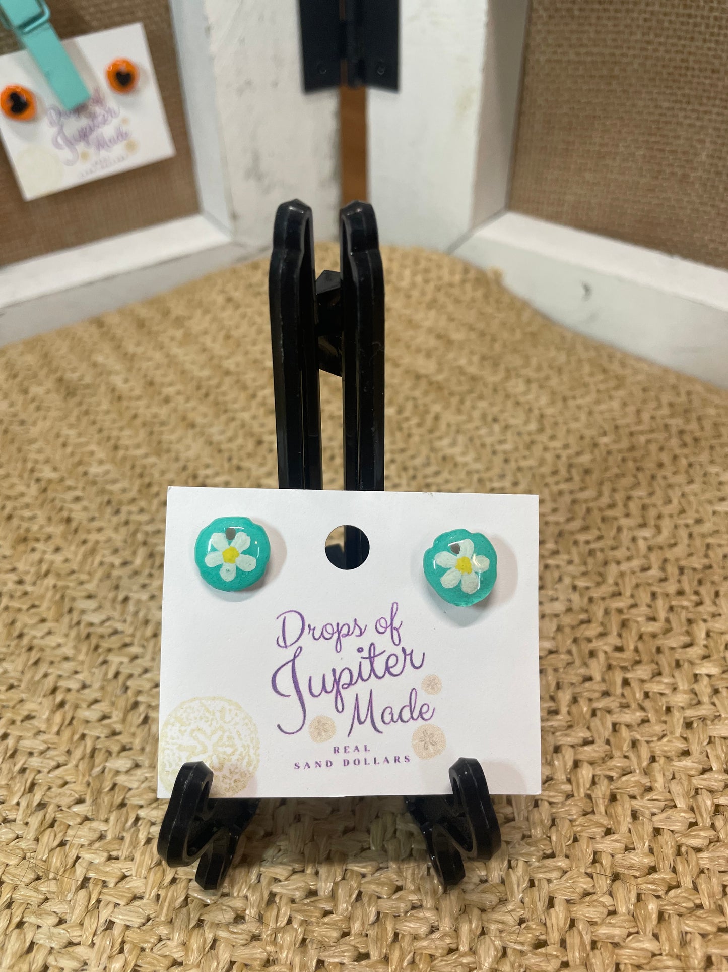 REAL Sand Dollar Stud Earrings | Teal Daisy